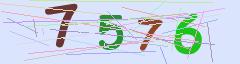 CAPTCHA validation image