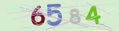 CAPTCHA validation image