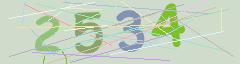 CAPTCHA validation image