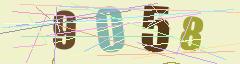 CAPTCHA validation image