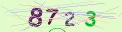 CAPTCHA validation image
