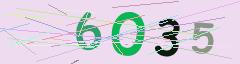 CAPTCHA validation image