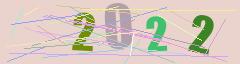 CAPTCHA validation image