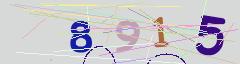 CAPTCHA validation image