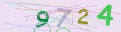 CAPTCHA validation image