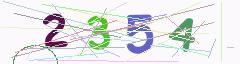 CAPTCHA validation image