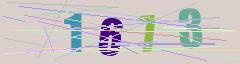 CAPTCHA validation image