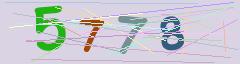 CAPTCHA validation image