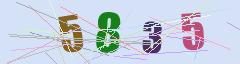 CAPTCHA validation image