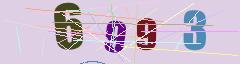 CAPTCHA validation image