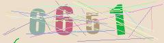 CAPTCHA validation image