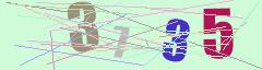 CAPTCHA validation image
