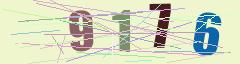 CAPTCHA validation image