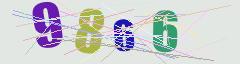 CAPTCHA validation image