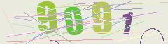 CAPTCHA validation image