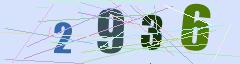 CAPTCHA validation image