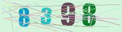 CAPTCHA validation image