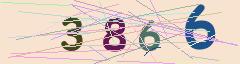 CAPTCHA validation image