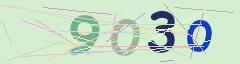 CAPTCHA validation image