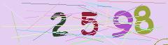 CAPTCHA validation image