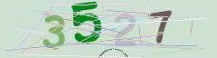 CAPTCHA validation image