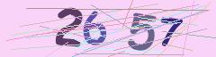 CAPTCHA validation image