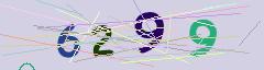 CAPTCHA validation image
