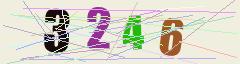 CAPTCHA validation image