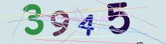 CAPTCHA validation image