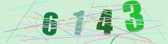 CAPTCHA validation image