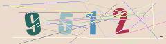 CAPTCHA validation image