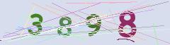 CAPTCHA validation image
