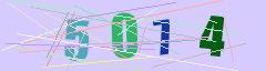 CAPTCHA validation image