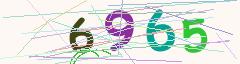CAPTCHA validation image