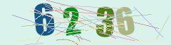 CAPTCHA validation image