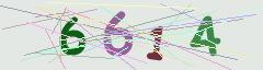 CAPTCHA validation image