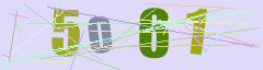 CAPTCHA validation image