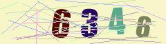 CAPTCHA validation image