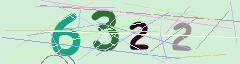 CAPTCHA validation image