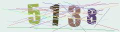 CAPTCHA validation image