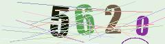 CAPTCHA validation image