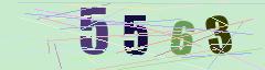 CAPTCHA validation image