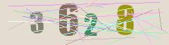 CAPTCHA validation image