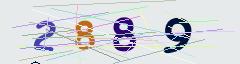CAPTCHA validation image
