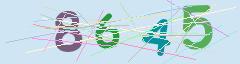 CAPTCHA validation image