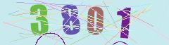 CAPTCHA validation image
