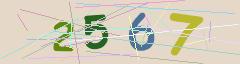 CAPTCHA validation image