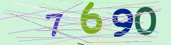 CAPTCHA validation image