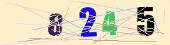 CAPTCHA validation image