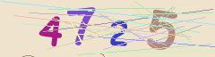 CAPTCHA validation image